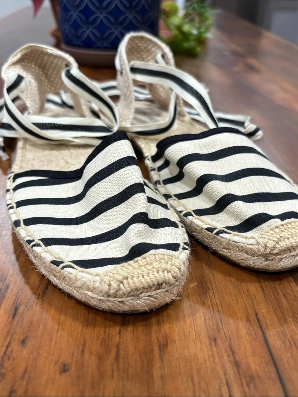 Soludos bloggers favorite